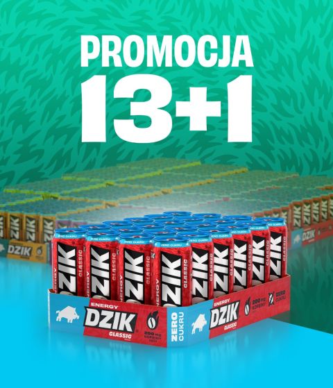 Promocja 13+1