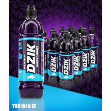 DZIK® BOOST FOREST FRUITS 750ML