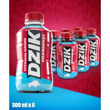 DZIK® VITAMIN DRINK CRANBERRY 500ml