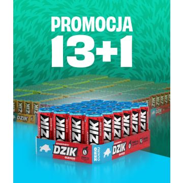 Promocja 13+1